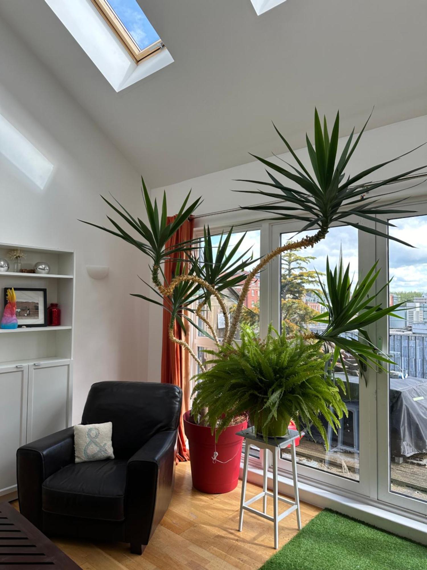 Stunning City Centre 4 Bedroom Penthouse - 2 Car Parking Spaces Bristol Exterior photo